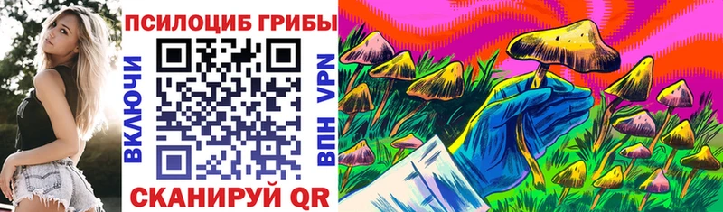 купить наркотик  Талица  Галлюциногенные грибы ЛСД 